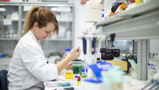 ep la fundacion mutua destina nuevas ayudas a personas vulnerables e impulsa la investigacion medica