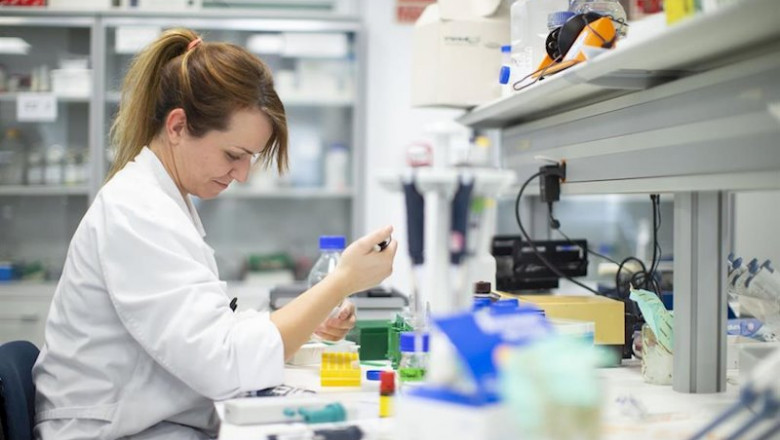 ep la fundacion mutua destina nuevas ayudas a personas vulnerables e impulsa la investigacion medica ep la fundacion mutua destina nuevas ayudas a personas vulnerables e impulsa la investigacion medica