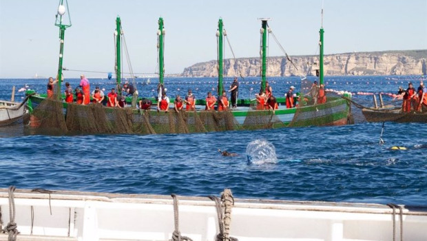ep las almadrabas en la levanta del atun rojo en aguas de cadiz ep las almadrabas en la levanta del atun rojo en aguas de cadiz