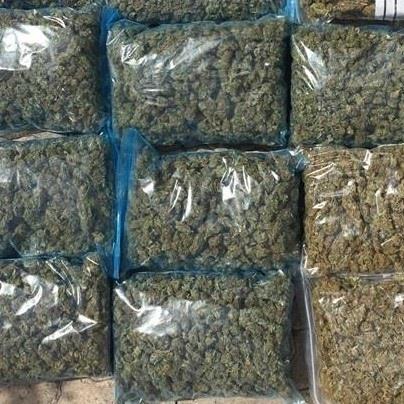Marihuana intervenida en una operación | EUROPA PRESS/ARCHIVO ep marihuana intervenidauna operacion