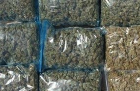 ep marihuana intervenidauna operacion