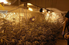 ep plantacionmarihuana desmantelada