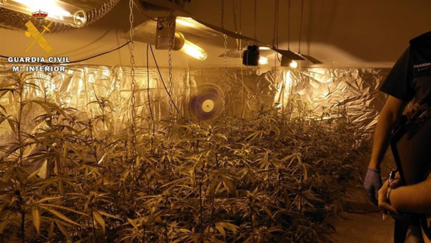 ep plantacionmarihuana desmantelada