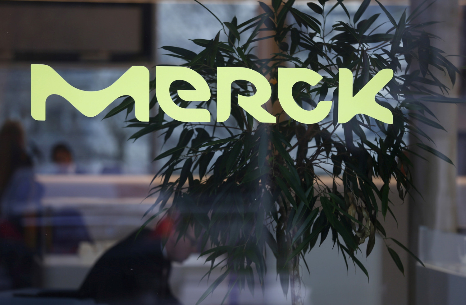 Merck reduce su beneficio en 2024 en un 1,7% y afronta 2025 con confianza