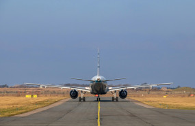 pexels joerg mangelsen 337913024 30756546 20250506145939 pexels joerg mangelsen 337913024 30756546 20250506145939