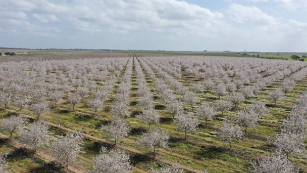 ep archivo   almendros de bain