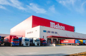 ep archivo   mahou