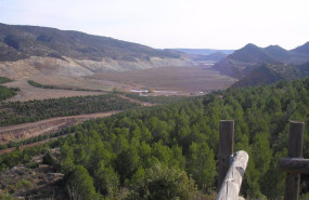 ep archivo   mina de carbon de endesa zona repoblada de pinos y zona preparada para la plantacion