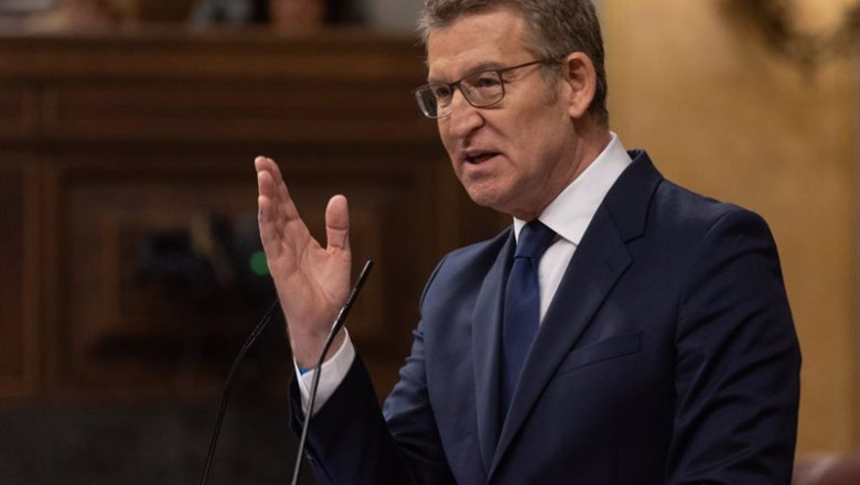 ep el lider del pp alberto nunez feijoo interviene durante una sesion plenaria en el congreso de los ep el lider del pp alberto nunez feijoo interviene durante una sesion plenaria en el congreso de los