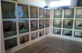 ep gallospelea encontradosla policia nacional