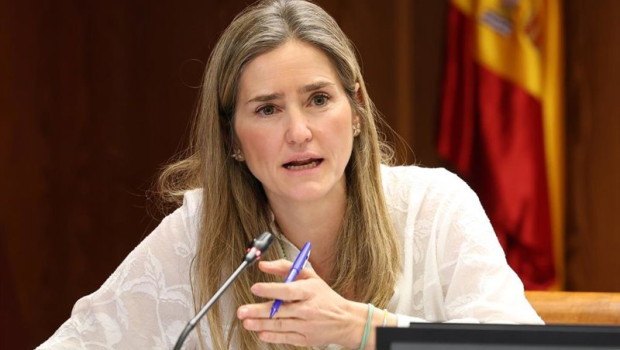 ep la ministra para la transicion ecologica y el reto demografico sara aagesen durante su