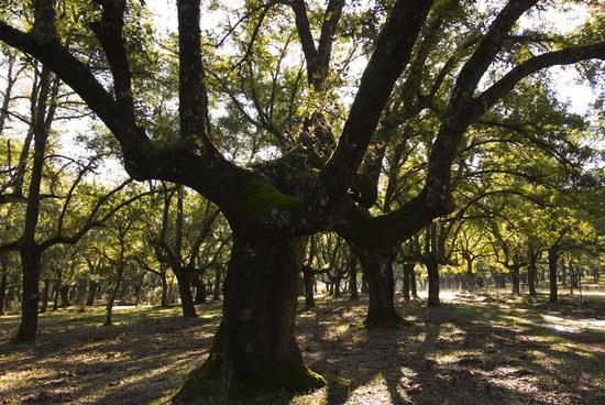 ep parque nacional cabaneros