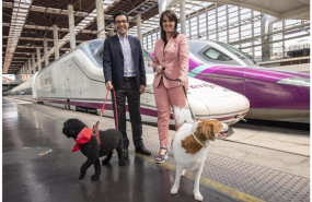 ep perros viajando en renfe