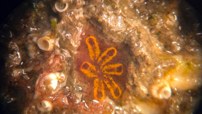 proyectoesvima palma0925 