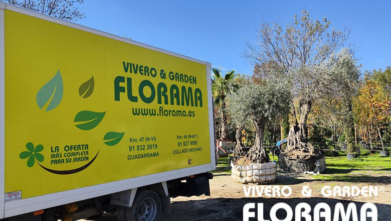 viveros florama opcion 2