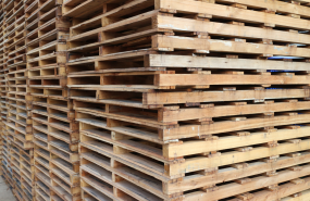 123 2023 05 25t100931109 123 2023 05 25t100931109