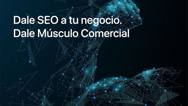 1593361655 posicionamiento web las palmas islas sem