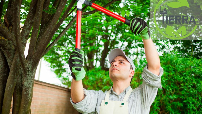 1657279309 la tierra jardineria