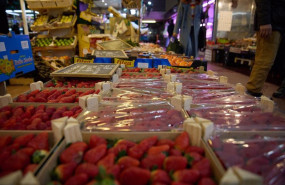 ep archivo   fresas en un expositor de una fruteria en un mercado
