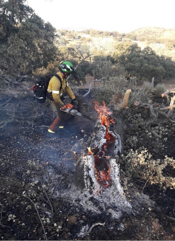 Bombero actúa en el encendio de Villanueva del Rey | PLAN INFOCA ep bombero actuaencendiovillanuevarey
