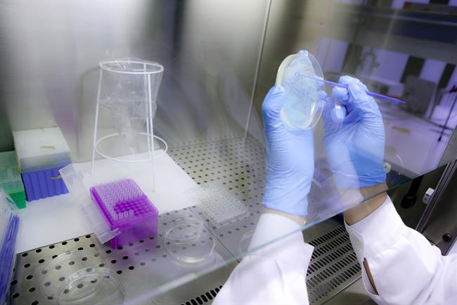 ep cabinaseguridadun laboratoriomicrobiologiala upna