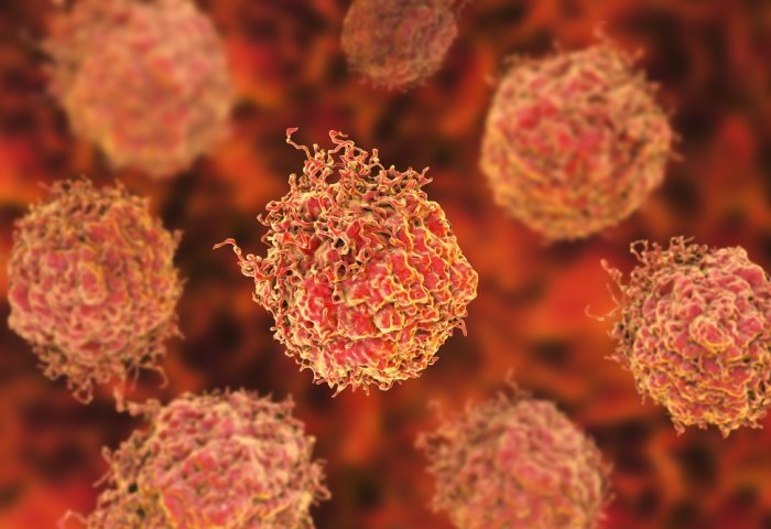 Células en el cáncer de próstata | IMPERIAL COLLEGE LONDON - Archivo ep celulas en el cancer de prostata 20200324185903