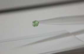 ep este hidrogel verde programable de polietilenglicol sensible a crispr puede ser inducido a