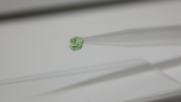 ep este hidrogel verde programable de polietilenglicol sensible a crispr puede ser inducido a