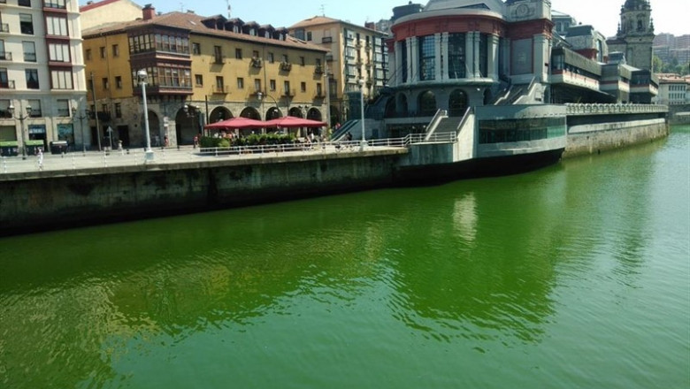 ep la ria tenida de verde a su paso por bilbao