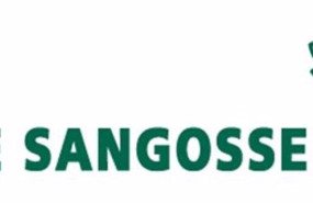 ep logo de de sangosse