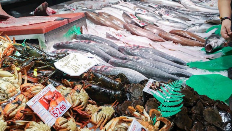 ep recursos de pescaderia pescaderos pescados mariscos