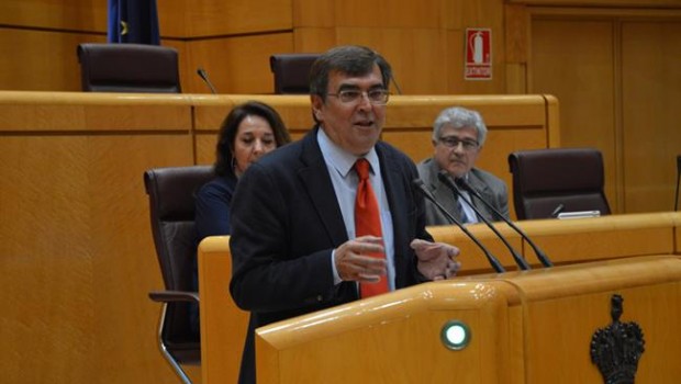 ep senadorpsoe francesc antichun plenola camara alta