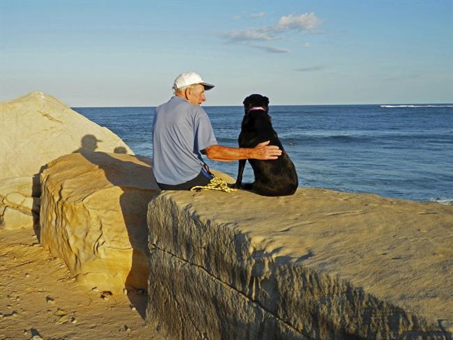 Un hombre mayor con un perro, alzheimer, animalterapia | SANITAS ep un hombre mayorun perro alzheimer animalterapia