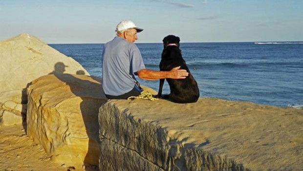 ep un hombre mayorun perro alzheimer animalterapia