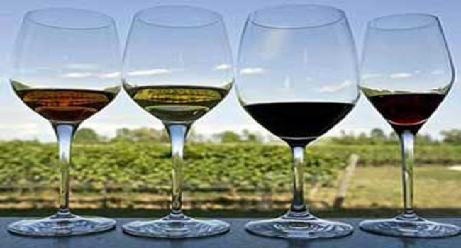 vinos mexico