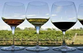 vinos mexico