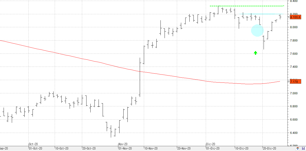 c281220ibex