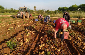 ep agricultores recogiendo cultivos