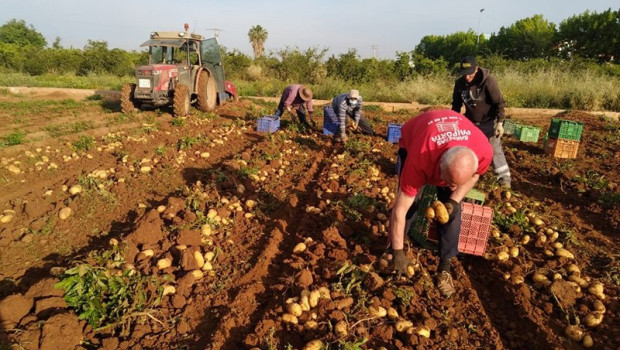 ep agricultores recogiendo cultivos