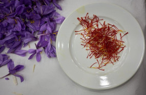 ep archivo detalle de la flor del azafran ep archivo detalle de la flor del azafran