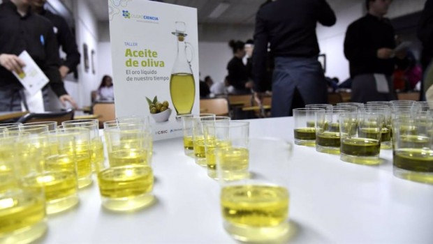 ep archivo - taller cata de aceite de oliva