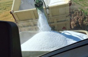 ep componentes quimicos utilizados en el campo