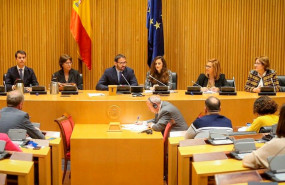 ep constitucion de la comisioin de asuntos exteriores del congreso con el socialista pau mari klose
