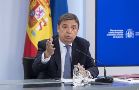 ep el ministro de agricultura pesca y alimentacion luis planas ofrece una rueda de prensa tras el
