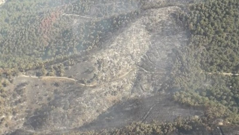 Incendio de Capellades (Barcelona) | BOMBERS DE LA GENERALITAT ep incendiocapellades barcelona 20190726074210