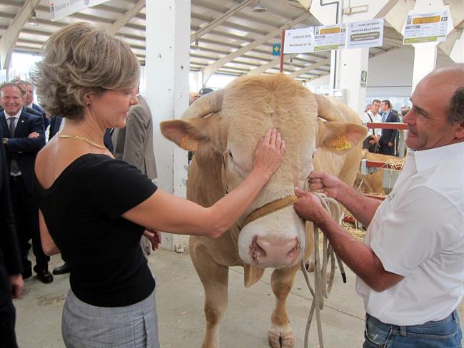 La ministra junto a un animal de la feria 'Salamaq 2017' | EUROPA PRESS ep la ministraaanimalla feria salamaq 2017