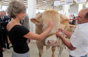 ep la ministraaanimalla feria salamaq 2017