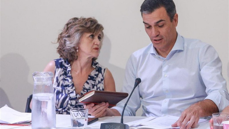 ep la ministrasanidad consumobienestar socialfunciones maria luisa carcedo ysecretario generalpsoepresidentegobiernofunciones pedro sanchez durantereunionorganizacionesluchala desigualdad socialel