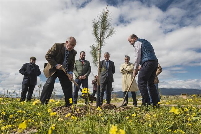 Plantación del Bosque SIGAUS en Colmenar Viejo | SIGAUS ep plantacionbosque sigauscolmenar viejo