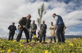 ep plantacionbosque sigauscolmenar viejo